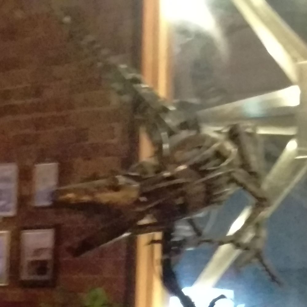 The Mill on Constance - Nice Decoration - Bars Near Me - Brisbane, QLD