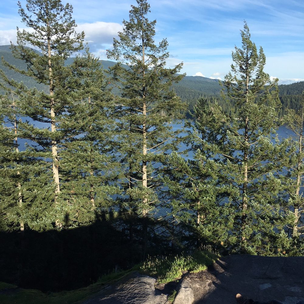 Quarry Rock - At the top of Quarry Rock. - Hiking Near Me - North Vancouver, British Columbia Quarry Rock - At the top of Quarry Rock. - Hiking Near Me - North Vancouver, British Columbia