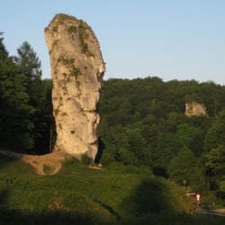 Maczuga Herkulesa - Maczuga w pełnej okazałości :)