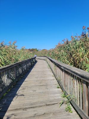 Audubon Society of Rhode Island Nature Center and Aquarium by null