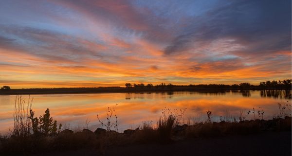 Rocky Mountain Arsenal National Wildlife Refuge by null