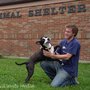 Photo of Evanston Animal Shelter
