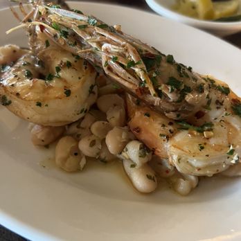 Zeppoli - Gamberetti e Fagioli - Mediterranean Near Me - Collingswood, New Jersey