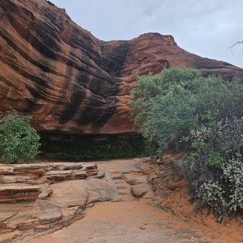 Hanging Gardens Trailhead - The seep spring - Hiking Near Me