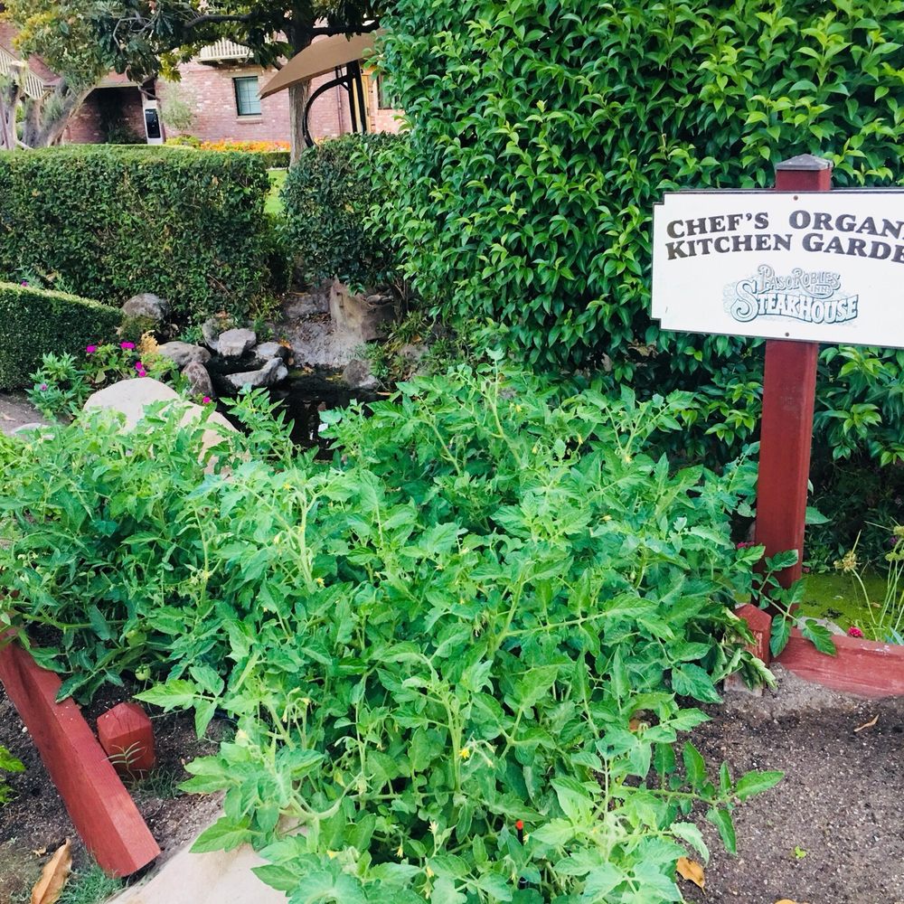 Paso Robles Inn - So we know they use organic ingredients mostly at the restaurant - Hotels Near Me - Paso Robles, California Paso Robles Inn - So we know they use organic ingredients mostly at the restaurant - Hotels Near Me - Paso Robles, California