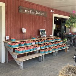 Sun High Orchard