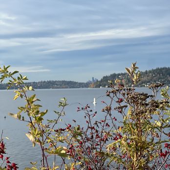Water's Table - New American Near Me - Renton, Washington