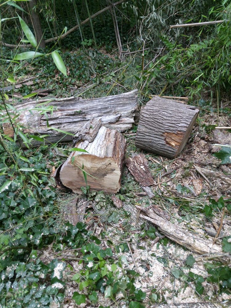 Slide of Productive services