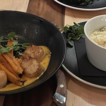Earl’s Landing - Scallops with carrots and mashed cauliflower. - Wine Bars Near Me - High Point, North Carolina Earl’s Landing - Scallops with carrots and mashed cauliflower. - Wine Bars Near Me - High Point, North Carolina