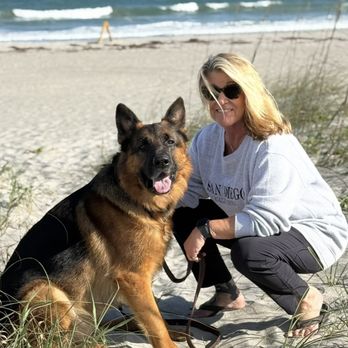 K9s Place - Pet Training Near Me - Melbourne, Florida K9s Place - Pet Training Near Me - Melbourne, Florida