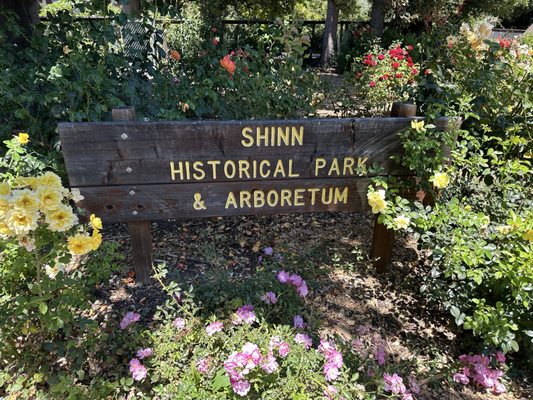 Shinn Historical Park and Arboretum by null