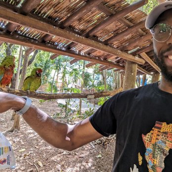 Jungle Island - I did not touch the birds. I was hoping it looks like I did - Amusement Parks Near Me - Miami, Florida Jungle Island - I did not touch the birds. I was hoping it looks like I did - Amusement Parks Near Me - Miami, Florida