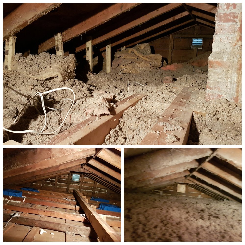 NOVAPRO ROOFING Updated July 2024 12 Photos 899 Portland Street