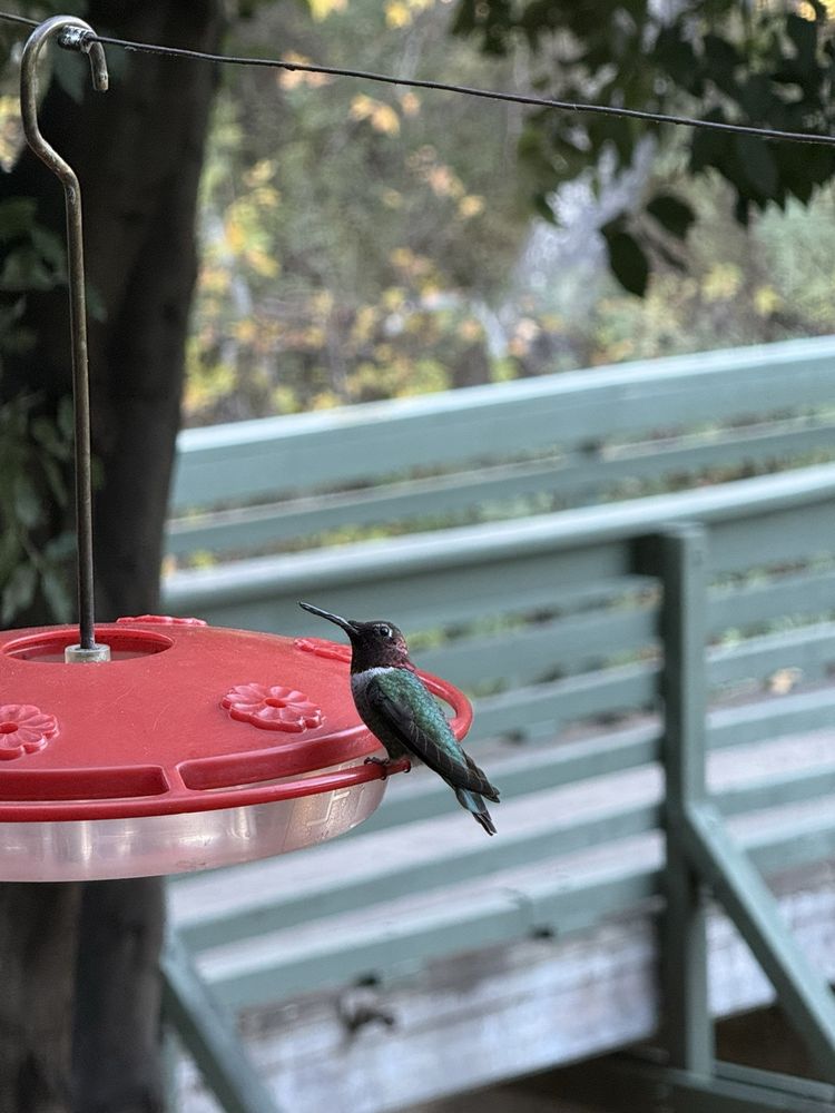 Tucker Wildlife Sanctuary