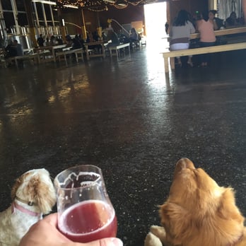 Brouwerij West - Great dog friendly beer haus - Breweries Near Me - San Pedro, California Brouwerij West - Great dog friendly beer haus - Breweries Near Me - San Pedro, California