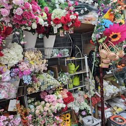 Flushing Discount Store