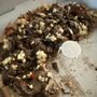 Gahanna Pizza Plus