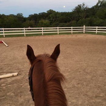 Chrislin Farm - Horseback Riding Near Me - Homer Glen, Illinois