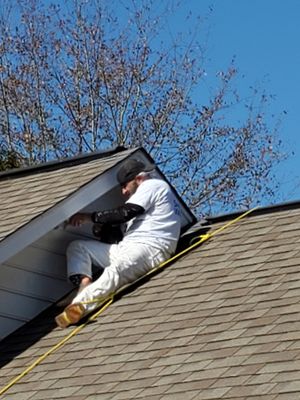 Driggers Painting and Furniture Restoration Logo