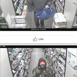 Global Pet Foods - Theft Bloor west village
