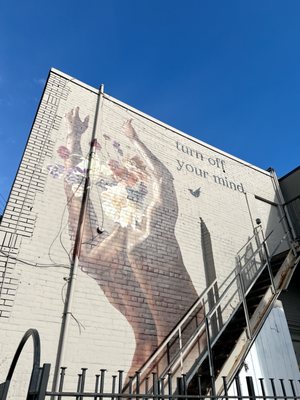 Jaybird Studio — Queen St. by null