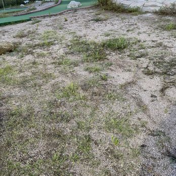 Putters & Gutters - Neglect - Mini Golf Near Me - Marble Falls, Texas Putters & Gutters - Neglect - Mini Golf Near Me - Marble Falls, Texas