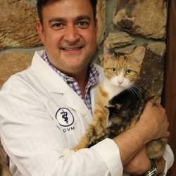 All Creatures Great and Small Animal Hospital - Dr. Pablo Ruiz