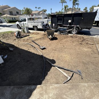 Noriega and Sons Tree Service - Taking down existing lawwn and removal of a tree. - Landscaping Near Me Noriega and Sons Tree Service - Taking down existing lawwn and removal of a tree. - Landscaping Near Me