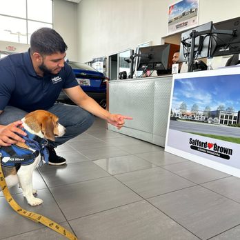 Safford Subaru Manassas - Planning our new Safford Brown Subaru Manassas store with help from our favorite four-legged visitor. - Car Dealers Near Me - Manassas, Virginia Safford Subaru Manassas - Planning our new Safford Brown Subaru Manassas store with help from our favorite four-legged visitor. - Car Dealers Near Me - Manassas, Virginia