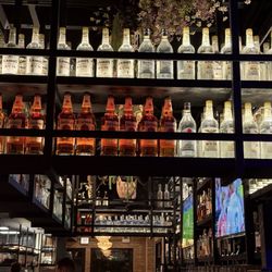 Artistically lit bar