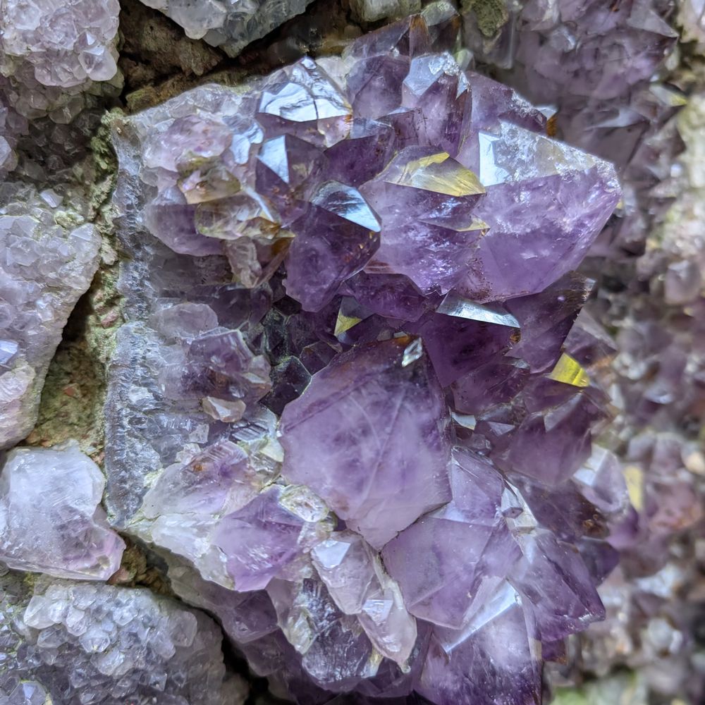 Jupiter Artland - Community Service/Non-Profit Near Me - Wilkieston, WLN