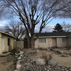 Expert Tree and Yard Service
