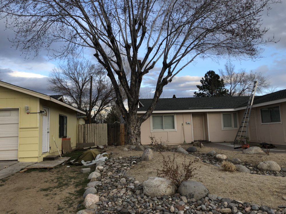 Expert Tree and Yard Service - tree service in Reno, NV