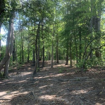 Bennetts Creek Park - Parks Near Me - Suffolk, Virginia
