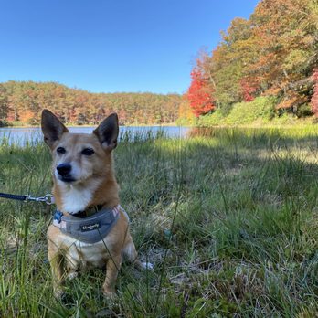 Babcock State Park - Parks Near Me - Danese, West Virginia
