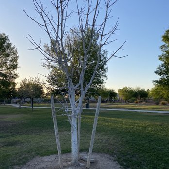 Duck Creek Park - Parks Near Me - Las Vegas, Nevada Duck Creek Park - Parks Near Me - Las Vegas, Nevada