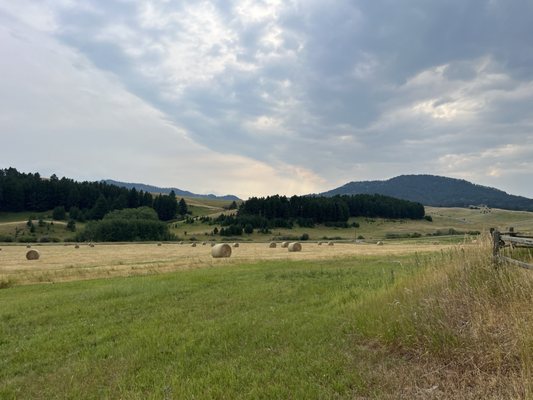 Howlers Inn B&B and Wolf Sanctuary, Bozeman MT Bed and Breakfast Lodging by null