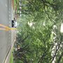 Photo of Sunken Garden