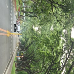Sunken Garden