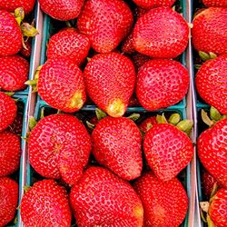 LA River Farmers’ Market - Very sweet strawberries $5