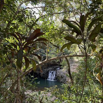 Twin Falls Trail - Waterfall - Hiking Near Me - Haiku, Hawaii Twin Falls Trail - Waterfall - Hiking Near Me - Haiku, Hawaii