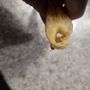 Photo of Papa Murphy's