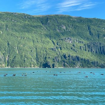 Pangaea Adventures - Tours Near Me - Valdez, Alaska Pangaea Adventures - Tours Near Me - Valdez, Alaska