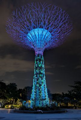 Gardens by the Bay by null