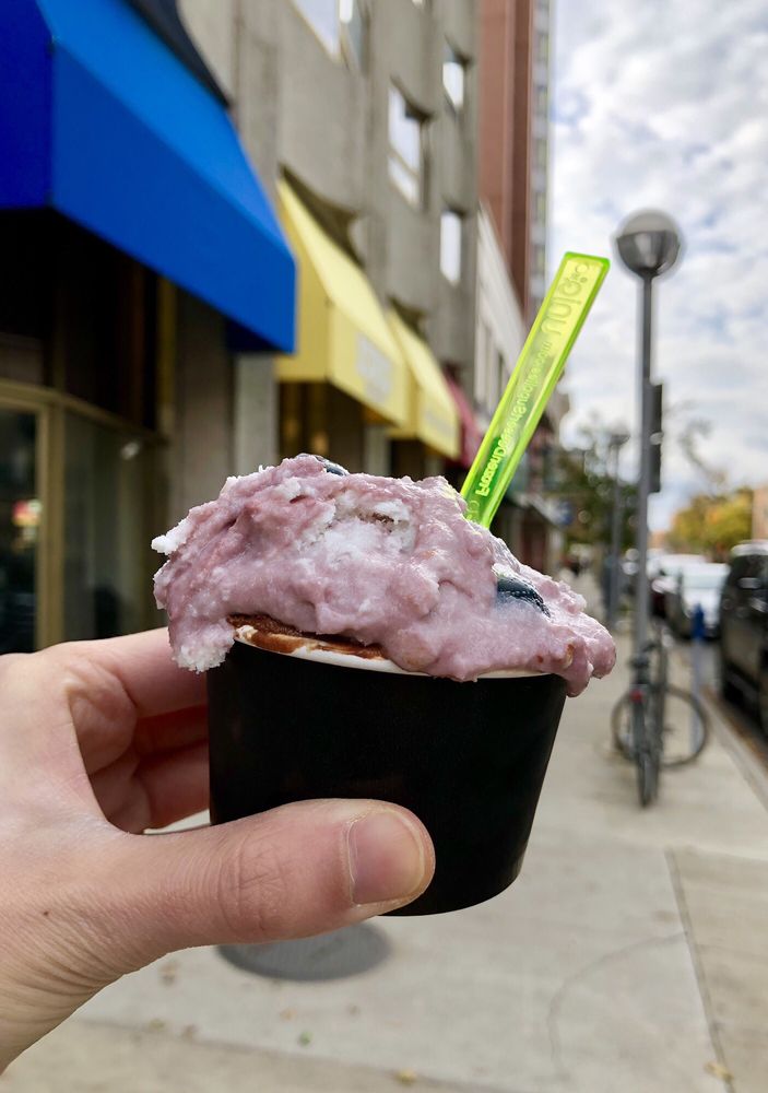 IORIO’S GELATERIA CLOSED 76 Photos & 133 Reviews 522 E William St, Ann Arbor, Michigan