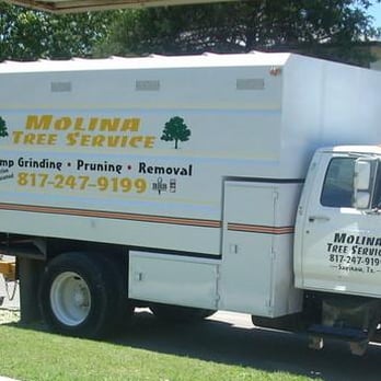 Molina Tree Service - Tree Services Near Me - Fort Worth, Texas Molina Tree Service - Tree Services Near Me - Fort Worth, Texas
