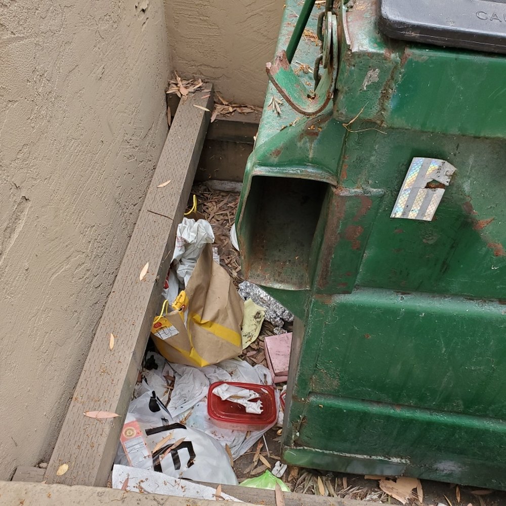 Walters Management - One picture of trash that has not been picked up in months and attracting rats. - Property Management Near Me - San Diego, California Walters Management - One picture of trash that has not been picked up in months and attracting rats. - Property Management Near Me - San Diego, California
