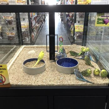 Pet Supermarket - Pet Groomers Near Me - Houston, Texas Pet Supermarket - Pet Groomers Near Me - Houston, Texas