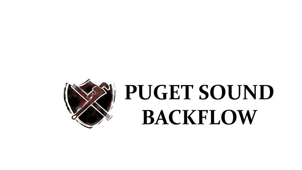 Slide of Puget Sound Backflow