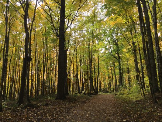 Miners Falls by null